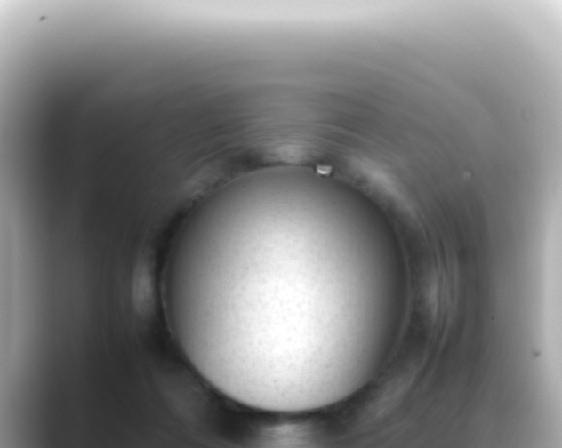 X0000089460312200706221310