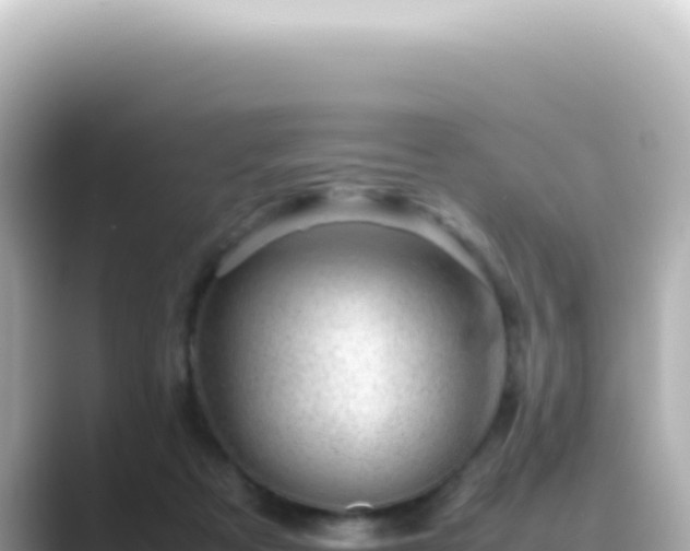 X0000089460313200706221310