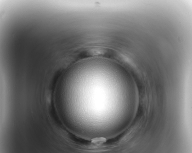 X0000089460315200706221310