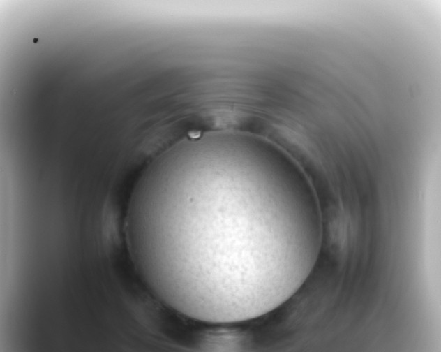 X0000089460316200706221310