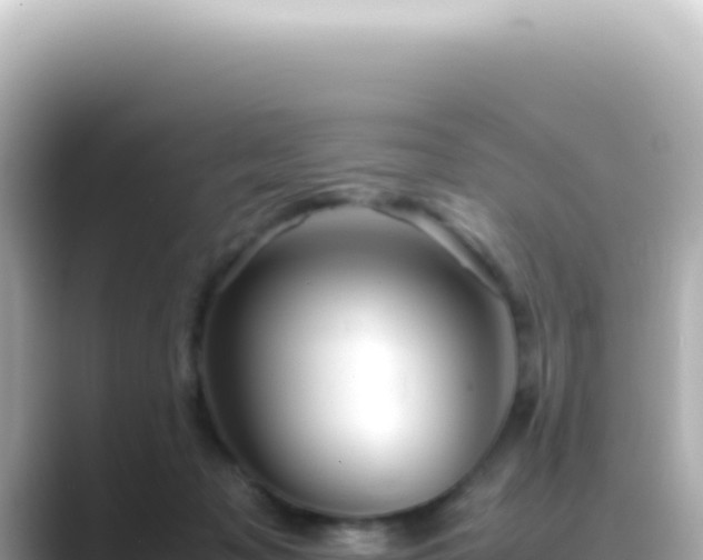 X0000089460317200706221310