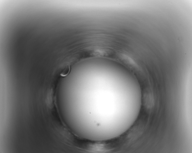 X0000089460318200706221310