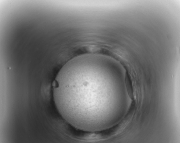 X0000089460319200706221310