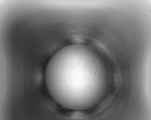 X0000089460320200706221310