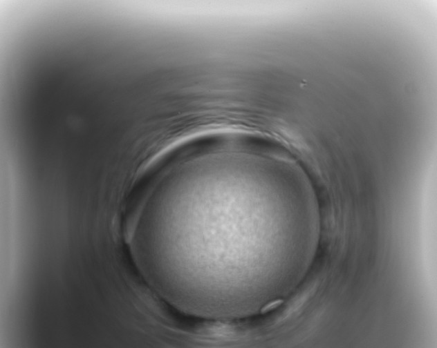 X0000089460325200706221310