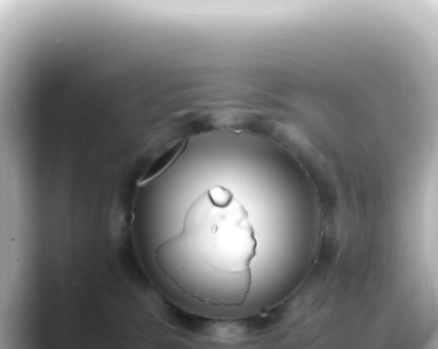 X0000089460327200706221310