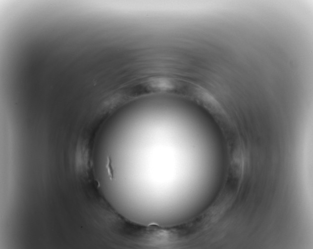 X0000089460330200706221309