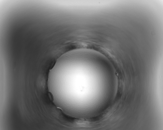 X0000089460331200706221309