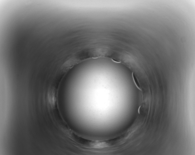 X0000089460334200706221309