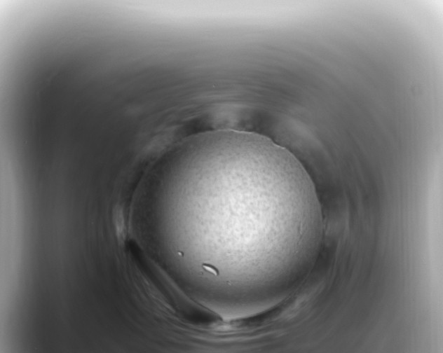 X0000089460335200706221309