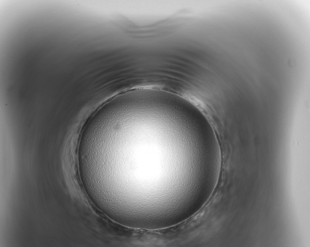 X0000089460337200706221309
