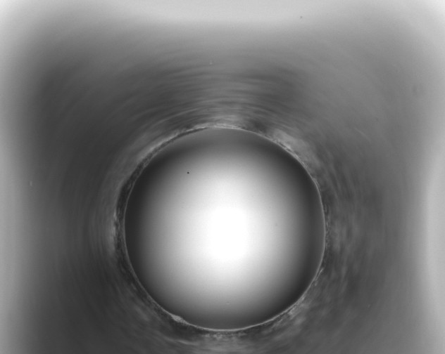 X0000089460338200706221309