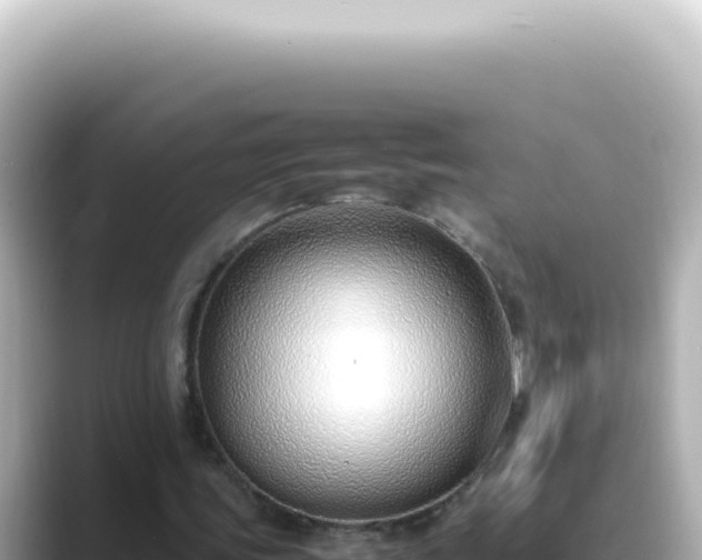 X0000089460339200706221309