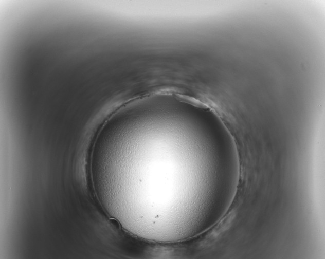X0000089460341200706221309