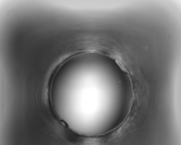 X0000089460342200706221309