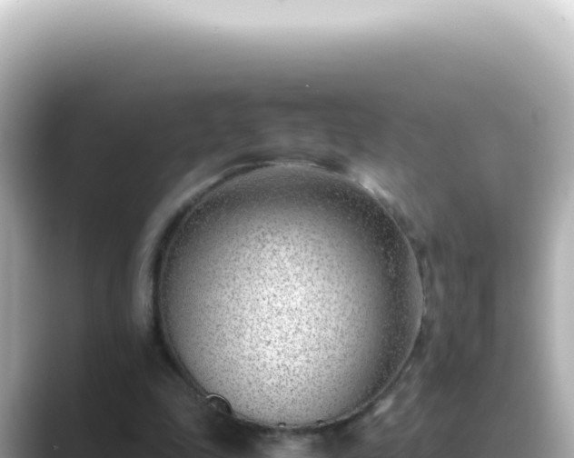 X0000089460343200706221309