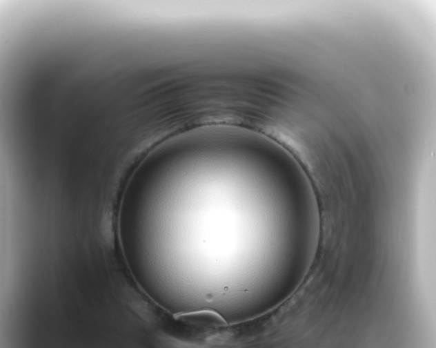 X0000089460345200706221309