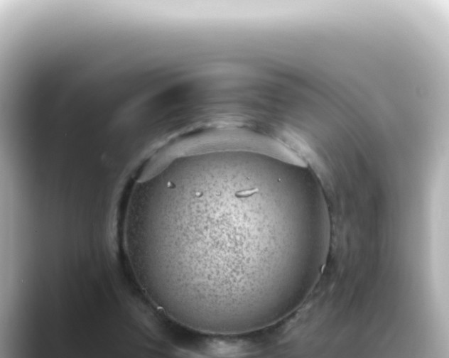 X0000089460346200706221309