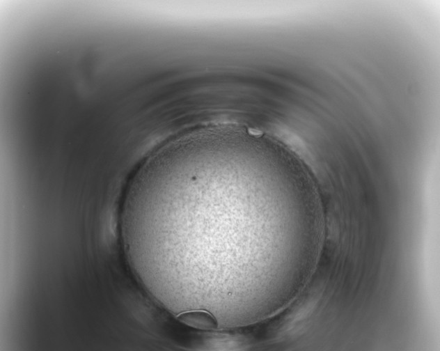 X0000089460347200706221309