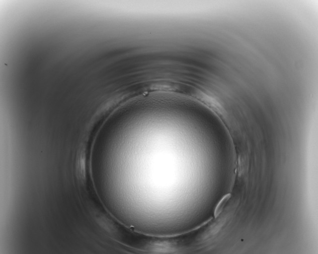 X0000089460349200706221309