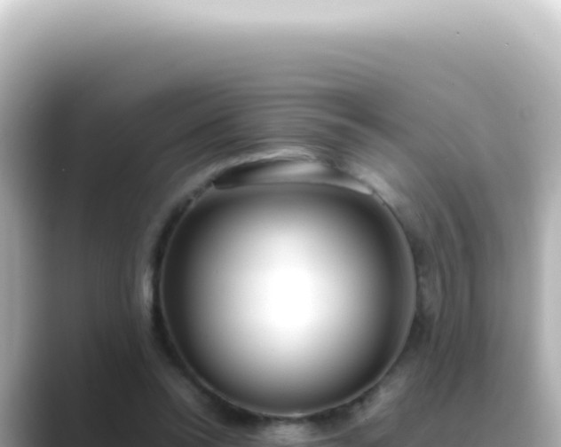 X0000089460350200706221309