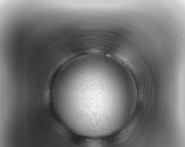 X0000089460351200706221309