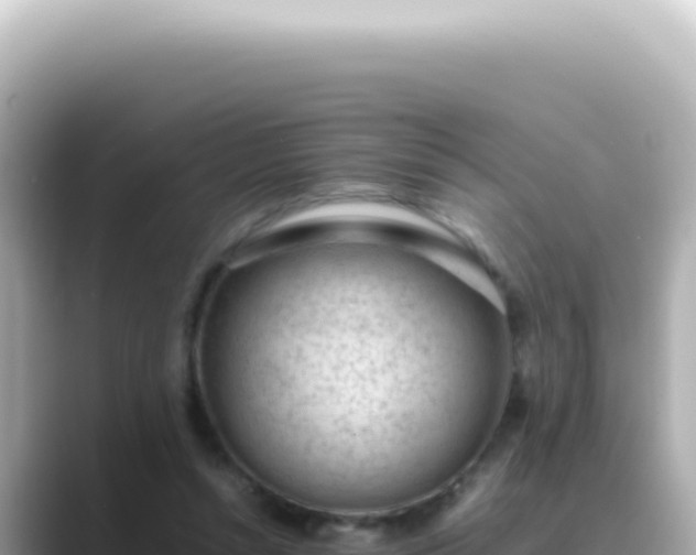 X0000089460352200706221309
