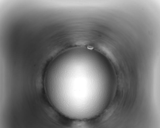 X0000089460354200706221309