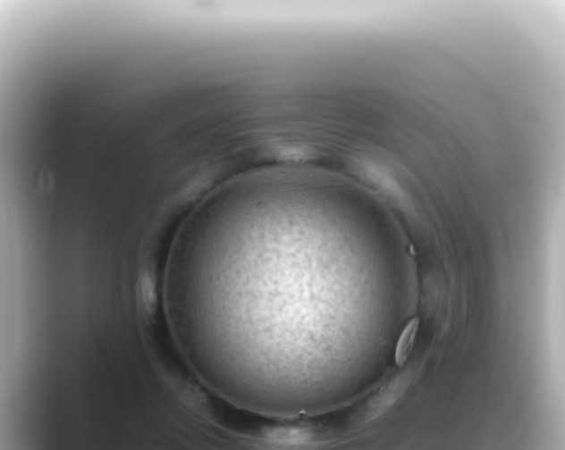 X0000089460358200706221309
