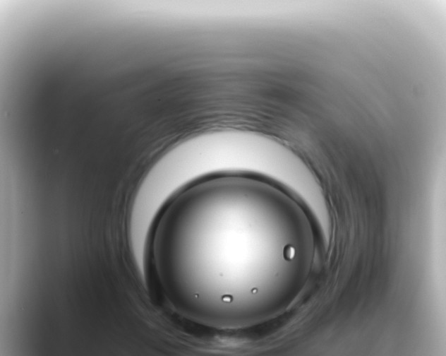 X0000089460360200706221309