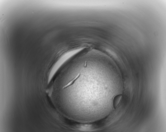 X0000089460361200706221309