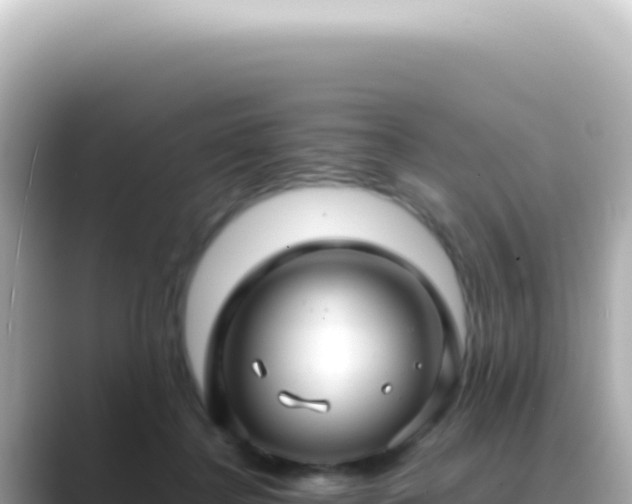 X0000089460364200706221309