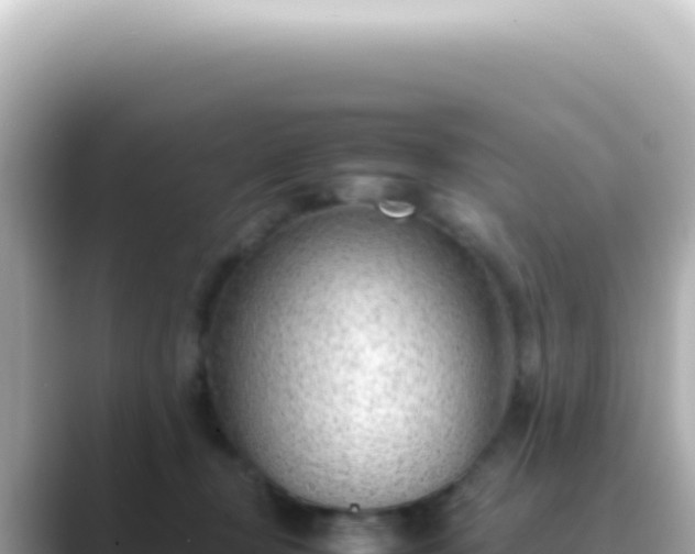 X0000089460367200706221309