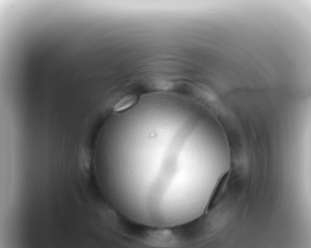 X0000089460374200706221309