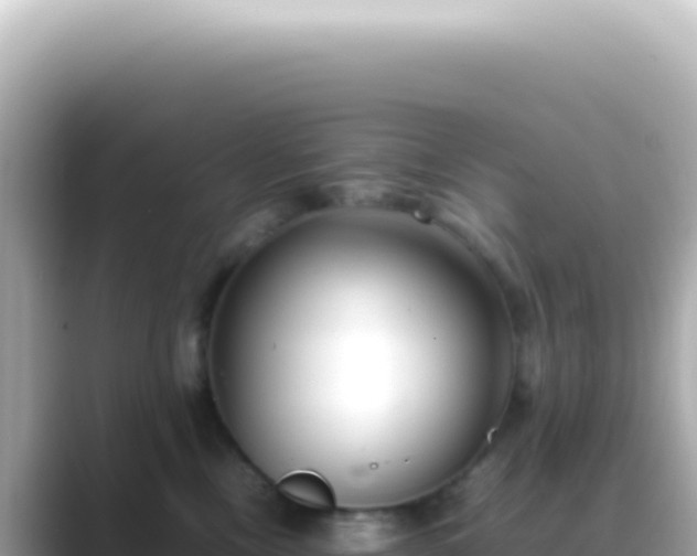 X0000089460378200706221309
