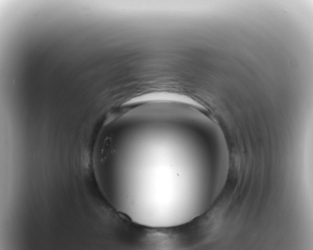 X0000089460380200706221309