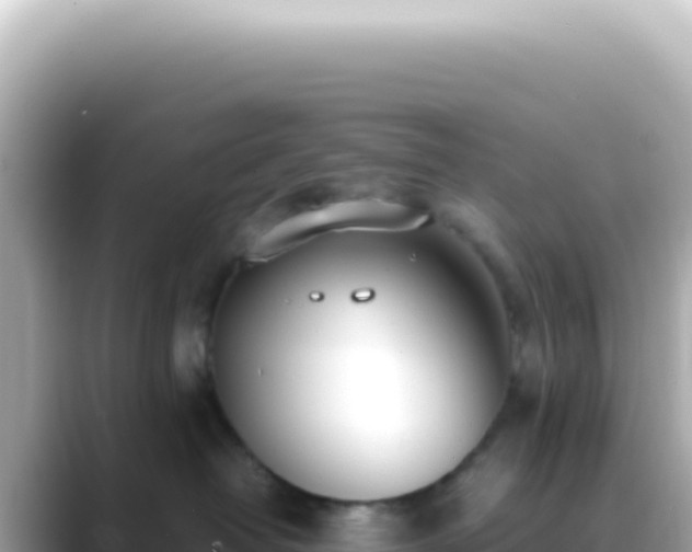 X0000089460382200706221309