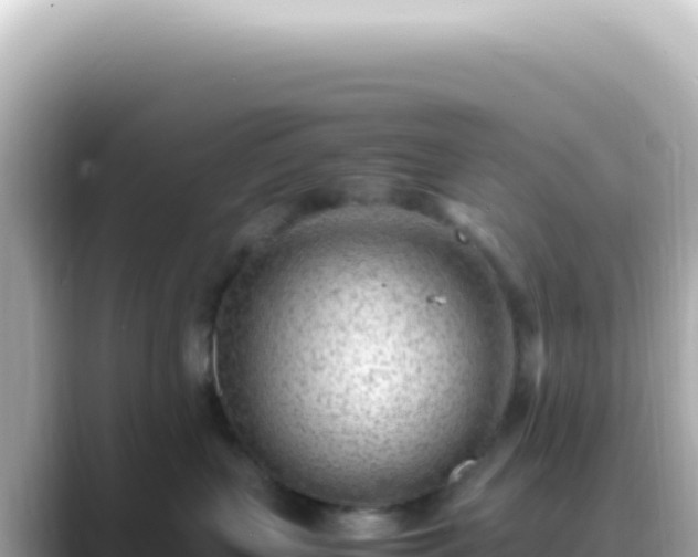 X0000089460383200706221309