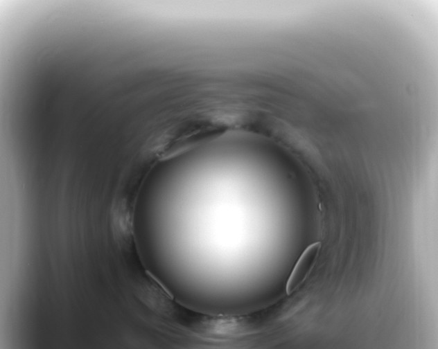 X0000089460384200706221309