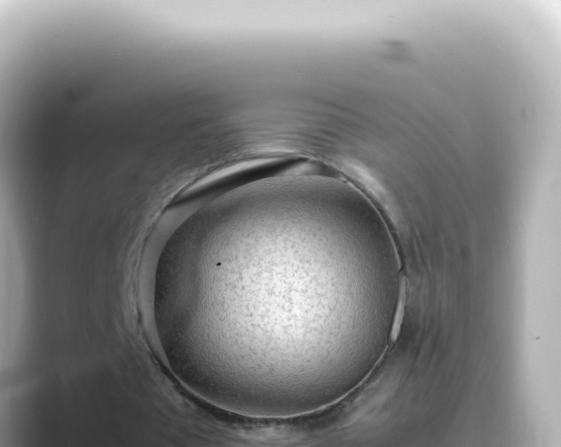 X0000089460385200706221309