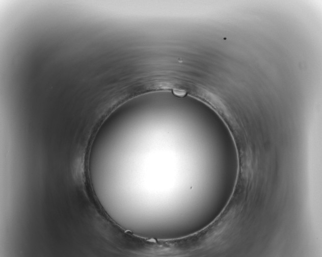 X0000089460386200706221309