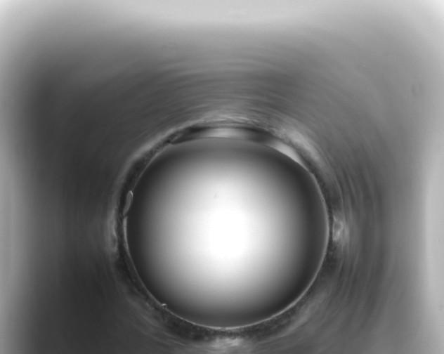 X0000089460388200706221309