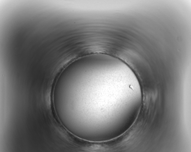 X0000089460390200706221309