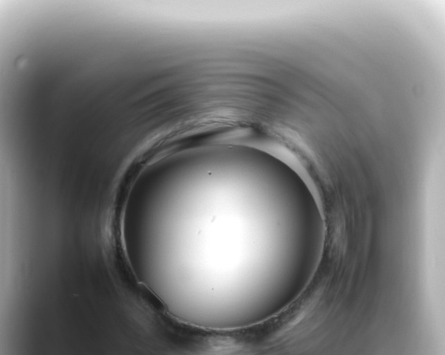 X0000089460392200706221309