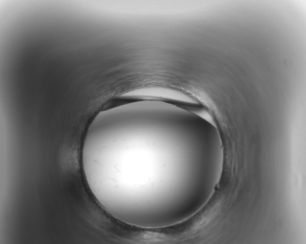 X0000089460393200706221309