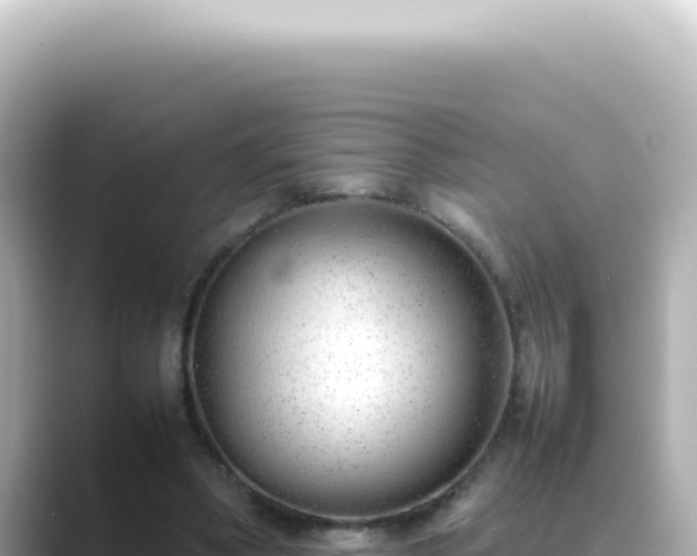X0000089460394200706221309
