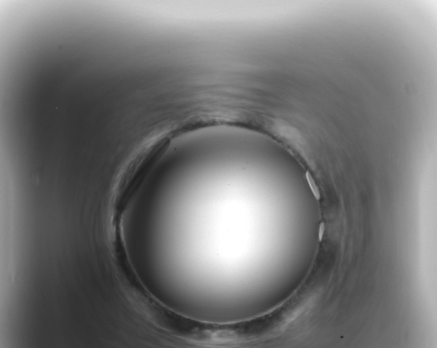 X0000089460395200706221309