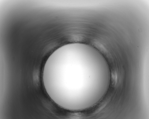 X0000089460396200706221309