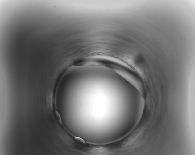 X0000089460397200706221309