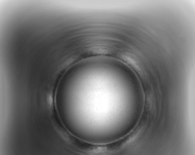 X0000089460398200706221309